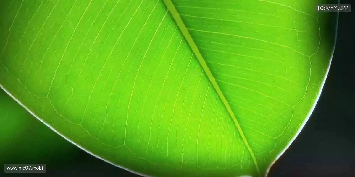 周边潮品，做最靓的运动达人！👟💫